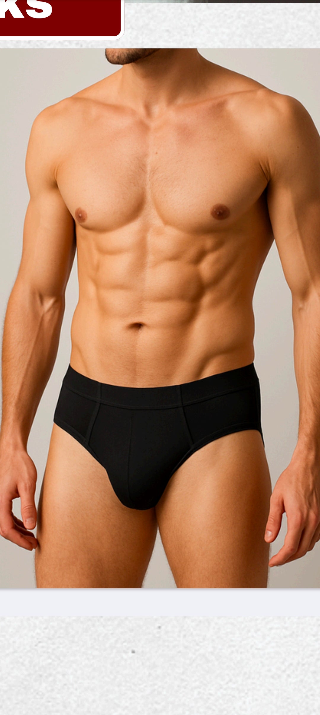Greywarbler -Black brief-Pack of 2